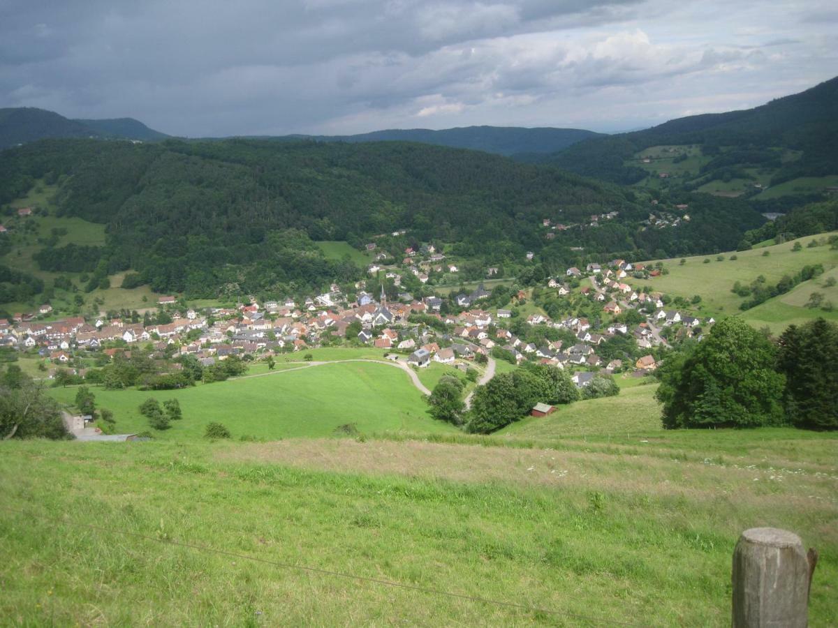 Gite En Pleine Verdure Au Coeur Du Village Lapoutroie Exterior foto