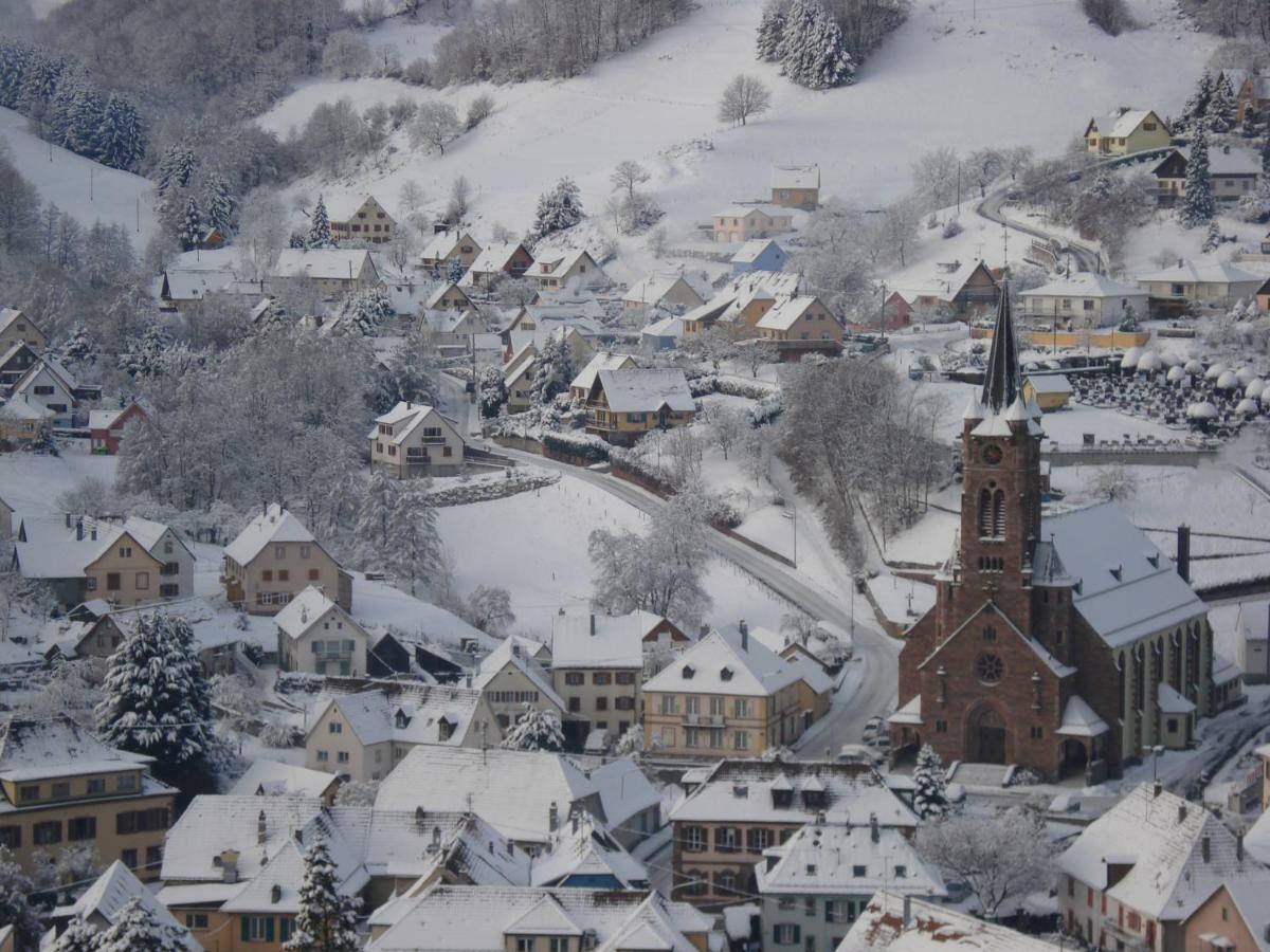 Gite En Pleine Verdure Au Coeur Du Village Lapoutroie Exterior foto